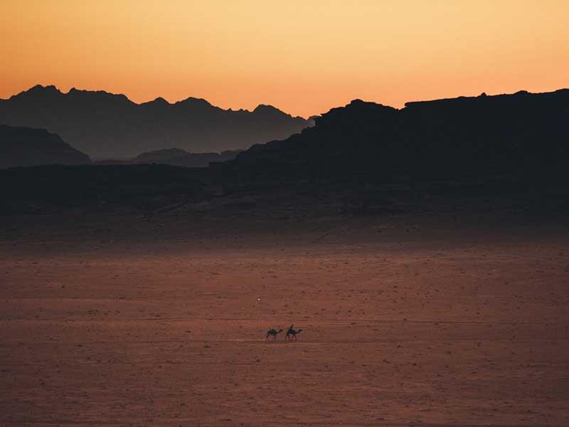 عبور دو شتر از صحرای اردن
