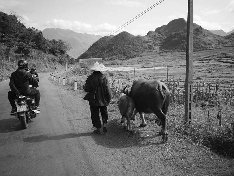تصویر سیاه و سفید از مردم روستایی در ویتنام