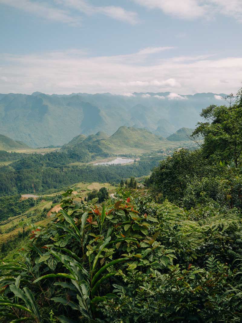 نمای کوهستان و جنگلی سبز در ویتنام 