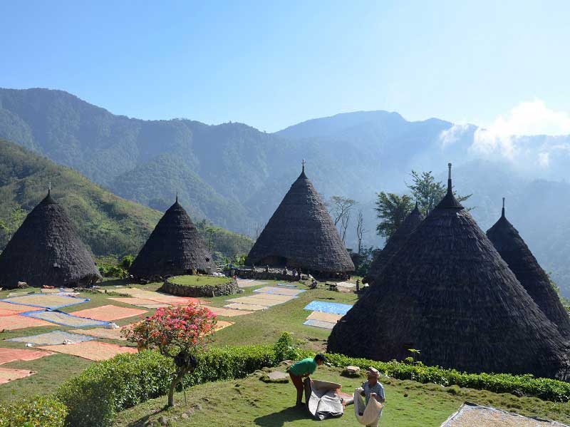 خانه‌های سنتی مخروطی شکل معروف به (Mbaru Niang) در جزیره فلورس اندونزی