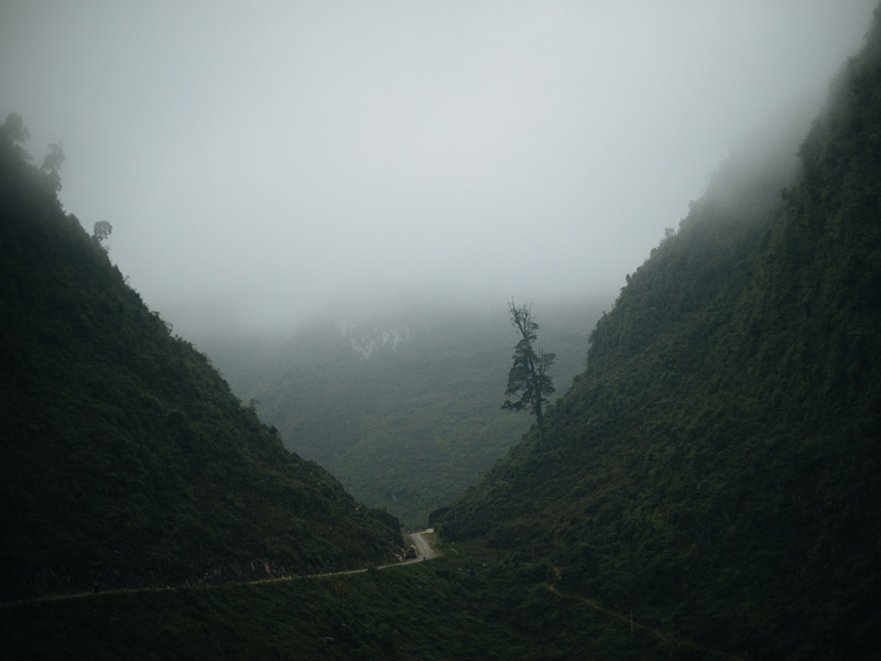 مه غلیظ در جاده‌ای سرسبز در ویتنام
