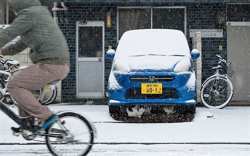 هوای برفی در ژاپن