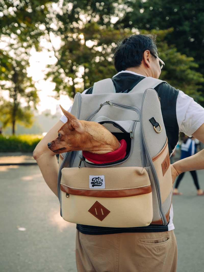 مردی با کیف حمل سگ در ویتنام