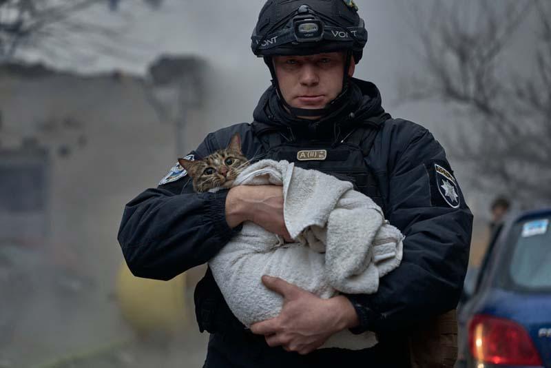 نجات یک گربه در اوکراین پس از حمله هوایی روسیه