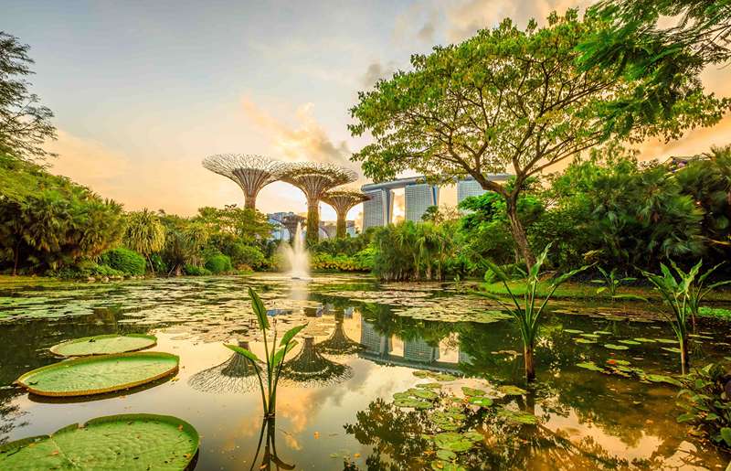 باغ های خلیج، منبع عکس: singapore-tickets، عکاس: نامشخص