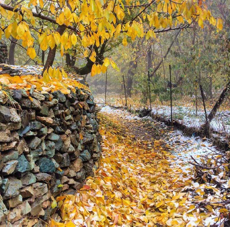 گذرگاه باران زده پاییزی روستای واریش؛ منبع عکس: میزبون، عکاس: نامشخص