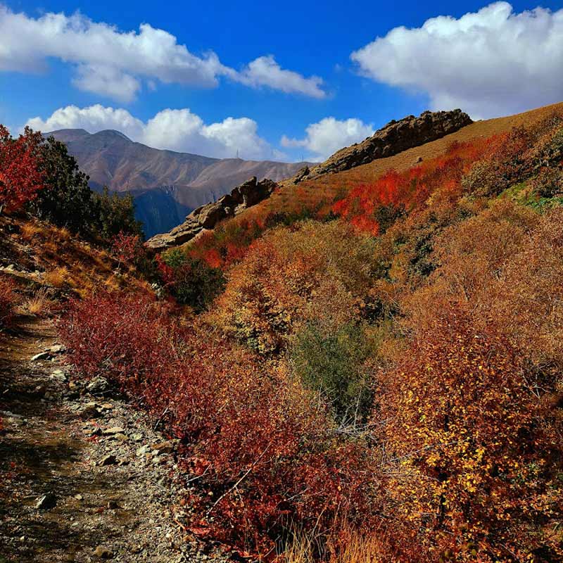 روستای تالون در پاییز؛ منبع عکس: گوگل مپ؛ عکاس: علی علوی