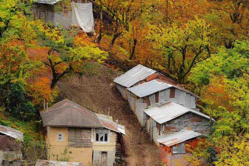 جاهای دیدنی اطراف تهران در پاییز؛ بهترین مکان‌ها برای تماشای رنگ‌های پاییزی