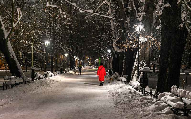 پارکی مملو از برف در کراکوف