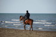 اسب سواری در ساحل گیسوم؛ منبع عکس: گوگل مپ؛ عکاس: علی ستاره