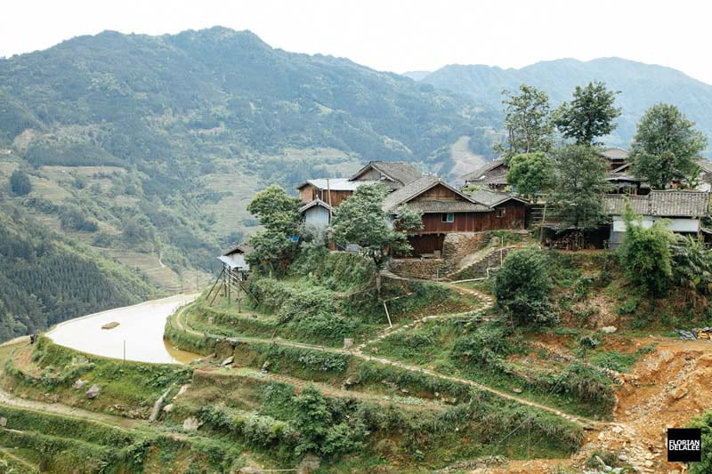 کلبه‌هایی در میان تراس‌های برنج در چین