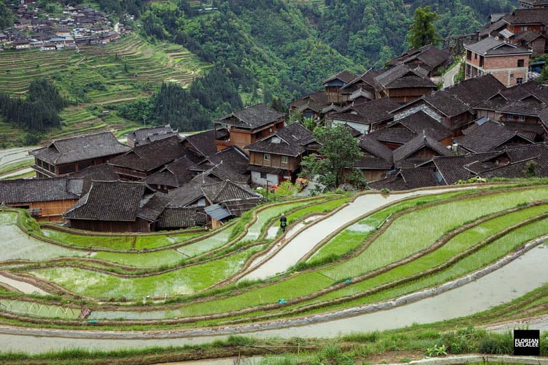کلبه‌های روستایی و تراس های برنج در چین