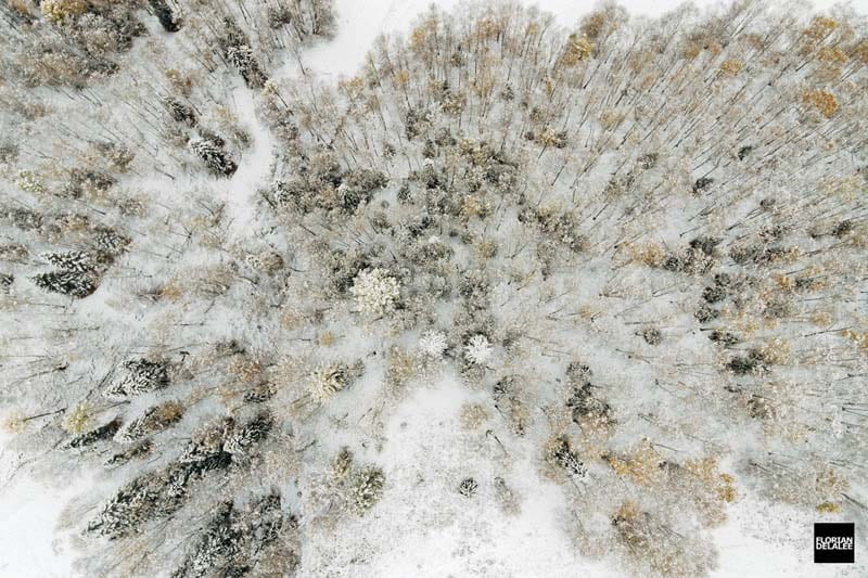عکس هوایی از درختان جنگل برفی روستای همو در چین