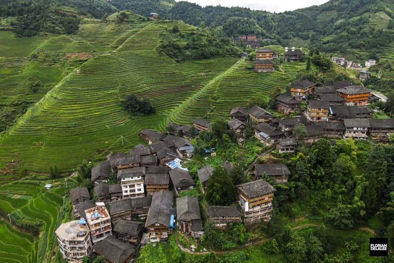 خانه‌های روستایی چینی در دامنه کوه و میان مزارع سبز پلکانی