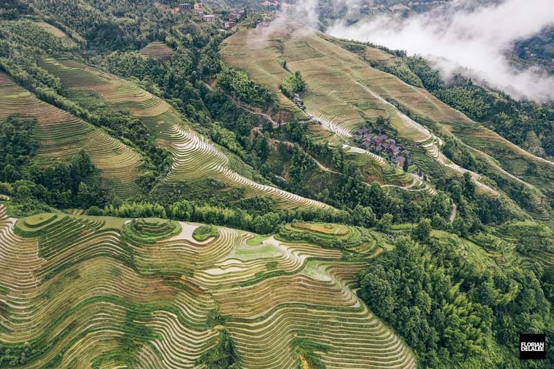 تراس‌های برنج دهکده چینی از دور