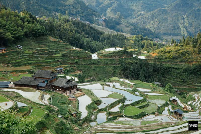 یک دهکده و شالیزارهای برنج در کشور چین