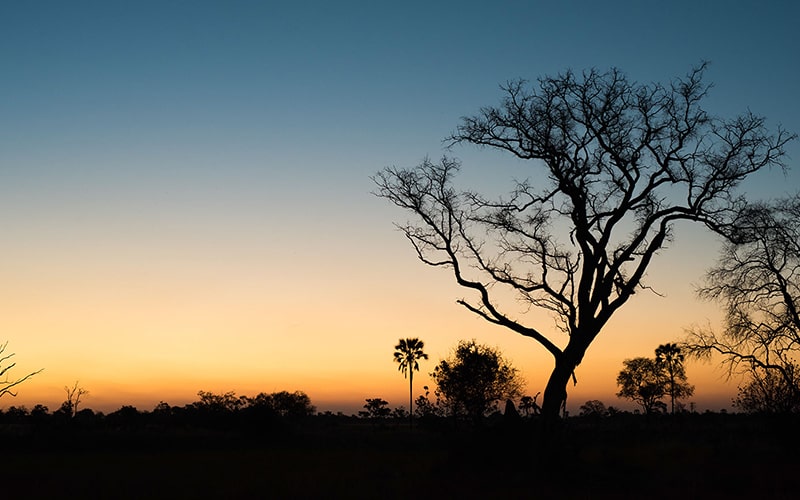 غروب خورشید در طبیعت بوتسوانا