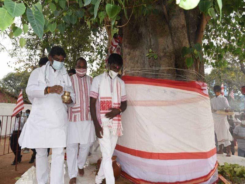هندوها در اطراف درختی مقدس در فستیوال سرهول