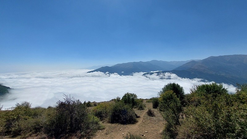 جنگل ابر در ییلاق سماسوس؛ منبع عکس: گوگل مپ؛ عکاس: جلال حسینی