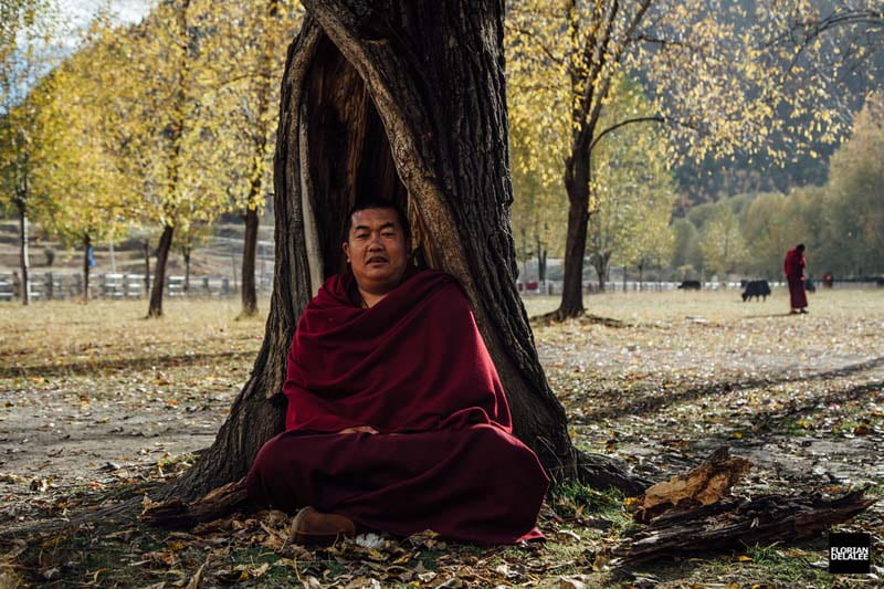 مردی با لباس قرمز بودایی نشسته زیر درخت