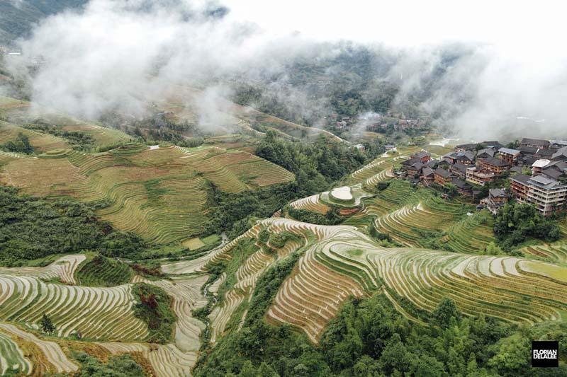تراس‌های برنج در دهکده چینی از نمای دور