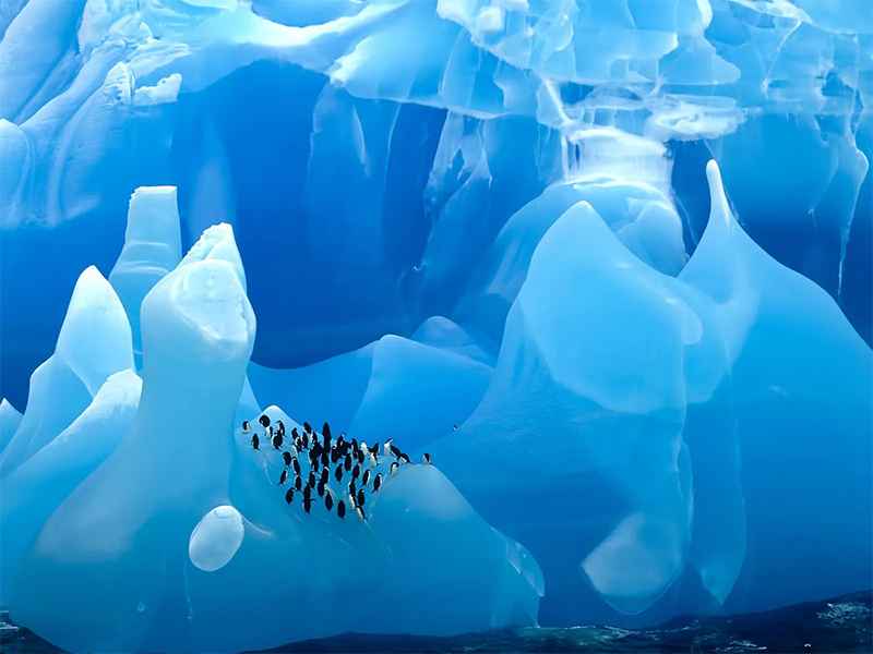 پنگوئن‌ها روی کوه‌های یخی جنوبگان