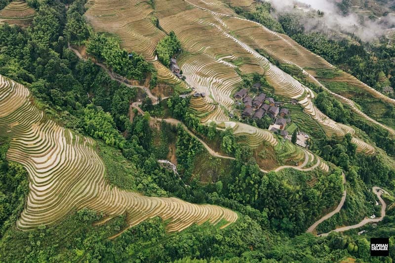 تپه‌ها و تراس برنج در چین