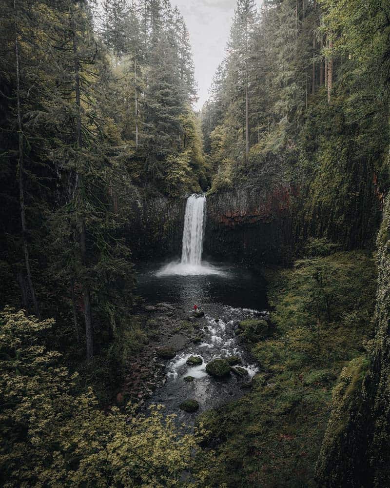 فردی روبروی آبشاری جنگلی در ایالت اورگن (Oregon) آمریکا 