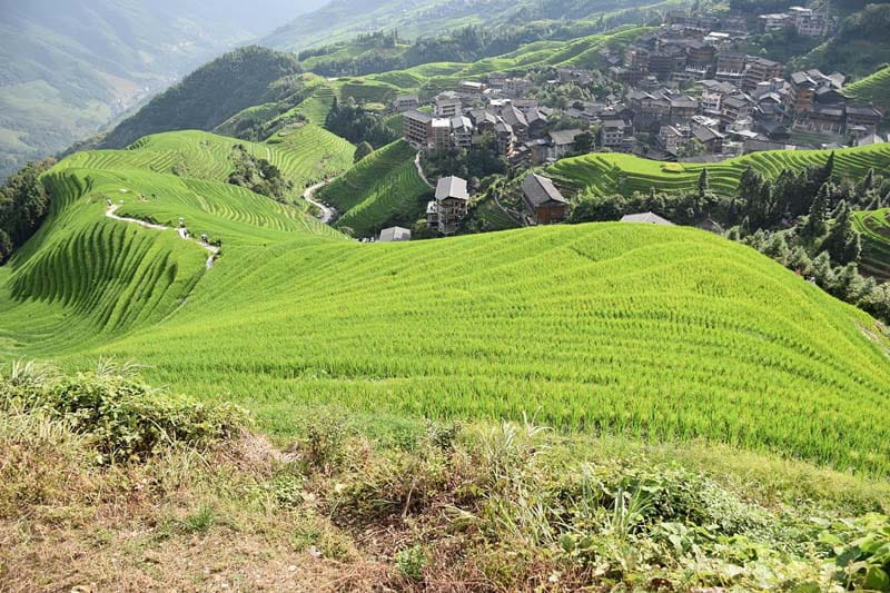 خانه‌هایی در آن سوی تپه‌ای سبز در روستای پینگان 