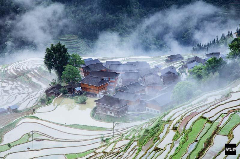 دهکده و شالیزارهای برنج چین در میان ابر و مه