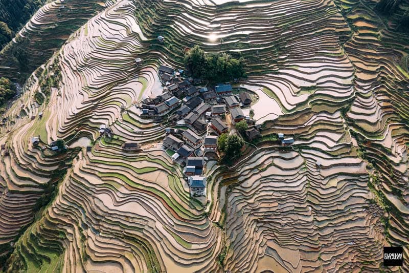 عکس هوایی تراس‌های برنج چین