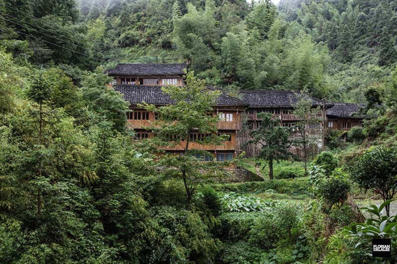 خانه‌هایی در میان درختان سبز و انبوه در روستای پینگان 