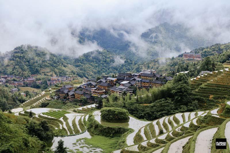 دورنمایی از تراس‌های برنج دهکده‌ای در چین