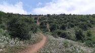 مسیرهای پاکوب دسترسی به روستای گرسماسر؛ منبع عکس: ویکی لاک؛ عکاس: مسعود خانی صبا