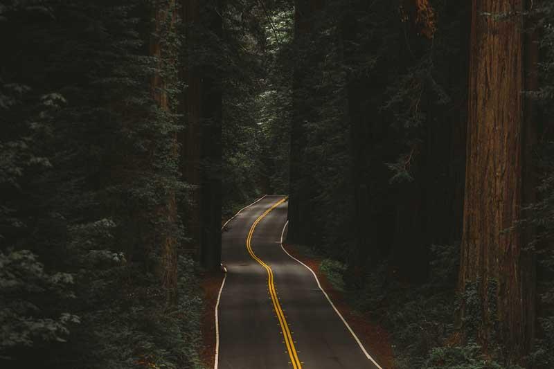 جاده‌ای جنگلی در ایالت اورگن آمریکا