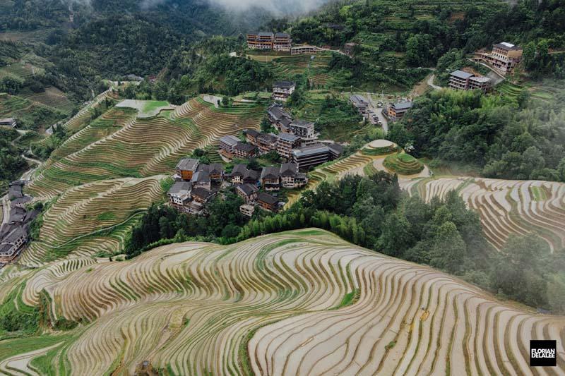 خانه‌های روستایی در میان تراس‌های برنج در چین