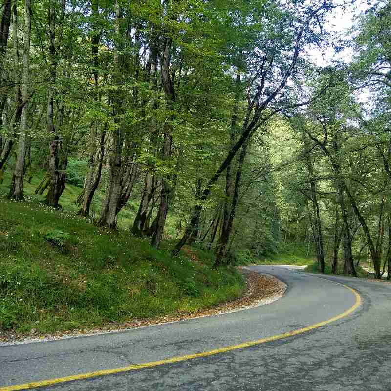 جاده دالخانی؛ منبع عکس: گوگل مپ؛ عکاس: ایمان صدری نژاد