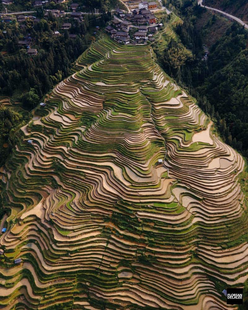 تراس‌های برنج به شکل پلکانی و تپه‌ای در دهکده چینی