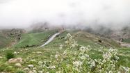 طبیعت زیبای پارک ملی تندوره؛ منبع عکس: گوگل مپ؛ عکاس: نجمه سلیمانی