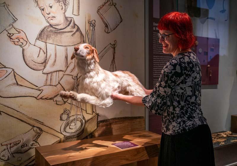 بازسازی اسکلت یک سگ در نمایشگاهی در اسکاتلند