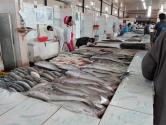 گردشگران در حال خرید از بازار ماهی فروشان چابهار؛ منبع عکس: گوگل مپ؛ عکاس: احمد کمالی