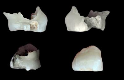 کشف قدیمی‌ترین بقایای انسانی در ایران | دندان ۱۷۵ هزار ساله