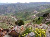 ارتفاعات و طبیعت زیبای پارک ملی تندوره؛ منبع عکس: گوگل مپ؛ عکاس: حسین رهنما
