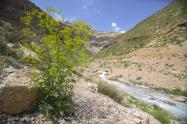 طبیعت سرسبز و رودخانه اطراف روستای خفر سمیرم، منبع عکس: ویکی مدیا، عکاس: مصطفی معراجی