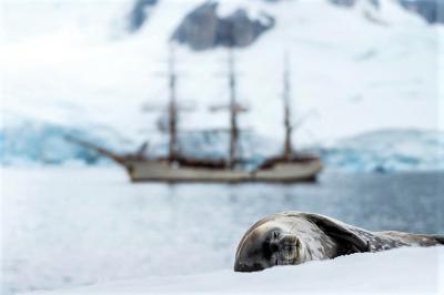 سفر دریایی به قلب یخ‌های جنوبگان