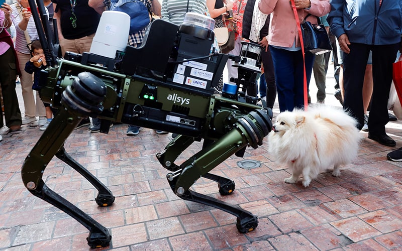 سگی در مقابل سگ ربات