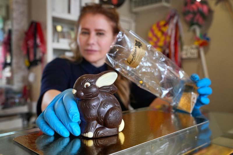 یک خرگوش شکلاتی دست ساز لوکس بلژیکی در مغازه شکلات فروشی