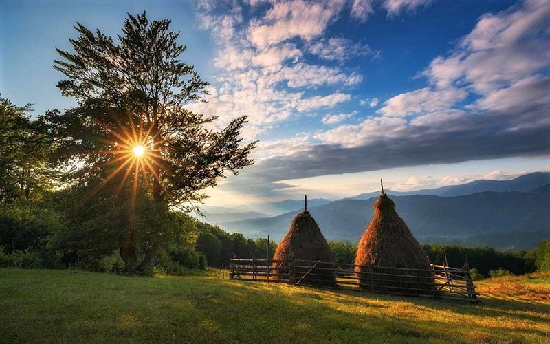 کلبه‌های چوبی در طبیعت رومانی، منبع عکس: اینستاگرام alexrobciuc@، عکاس: Alex Robciuc