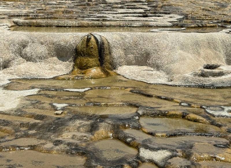 جریان آب چشمه‌های هیرو ال آگوا؛ منبع عکس: گوگل مپ. عکاس: Abigail González Nepomuceno
