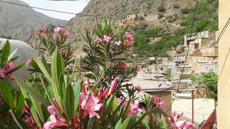 روستای پلکانی هجیج؛ منبع عکس: گوگل مپ؛ عکاس: سامان مجیدی